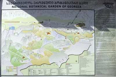Ботанический сад Тбилиси - уникальное природное убежище