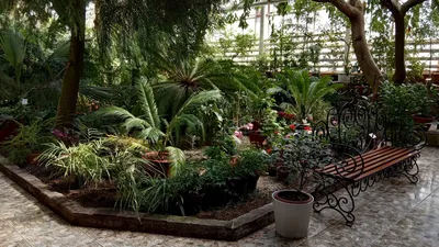 Ботанический сад, Уфа: цены, график работы, официальный сайт, отзывы, фото,  адрес — Туристер.ру