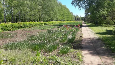 🏠 ЖК Ботанический сад - цены на сайте от официального застройщика СЗ ЖК БОТАНИЧЕСКИЙ  САД, планировки жилого комплекса, ипотека, акции новостройки - Республика  Башкортостан, Уфа, улица Сагита Агиша - ЦИАН