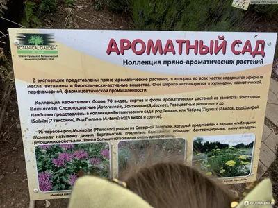 ЖК Ботанический сад в Уфе от застройщика ООО «ПромСтройМонтаж»: цены на  квартиры, описание, ход строительства, обзор на сайте Карта метров.