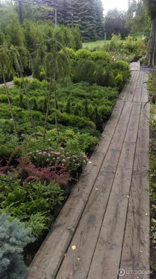 Южно-Уральский ботанический сад | Facebook