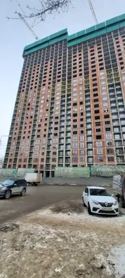 В Уфе в ботаническом саду пройдет семейный праздник | Официальный сайт МБУ  Издательский дом Уфа