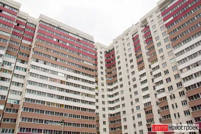 Бананы в Воронеже созреют к лету