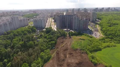 ЖК «Ботанический сад» в Воронеже купить квартиру от застройщика Выбор в  новостройке | Ареум