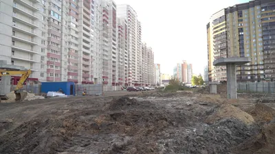 Ботанический сад ВГУ им. Б.М. Козо-Полянского Тропа - Воронеж, Воронежская  область, Россия | Pacer