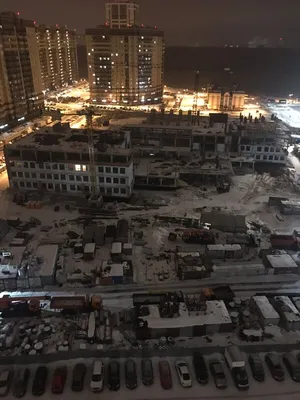 АГРОКЛАССНИКИ ДОЛГОРУКОВСКОГО ЛИЦЕЯ ПОСЕТИЛИ БОТАНИЧЕСКИЙ САД ВГАУ —  Новости Воронежского государственного аграрного университета имени  императора Петра I