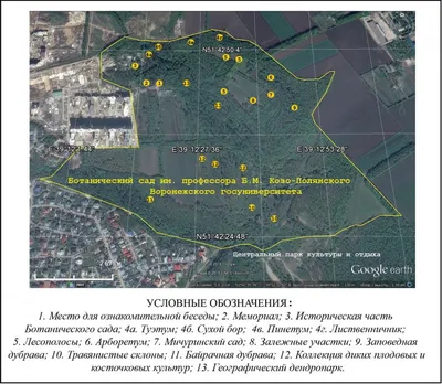 Фото: Ботанический сад, жилой комплекс, Воронеж, Олимпийский бул. — Яндекс  Карты