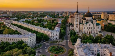Лимон весом почти 1 килограмм вырастили в Ботаническом саду Воронежа |  ОБЩЕСТВО: События | ОБЩЕСТВО | АиФ Воронеж