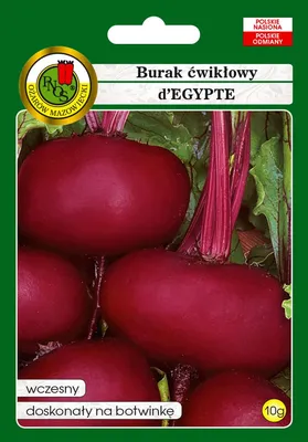 Свекла
