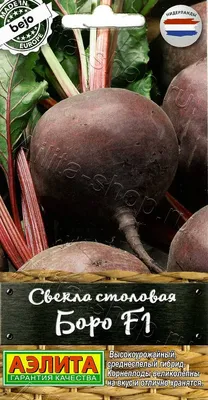 Свекла