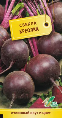 Свекла Овощи Корень - Бесплатное фото на Pixabay - Pixabay