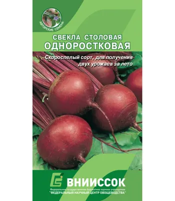 Врач рассказала, кому нельзя есть свеклу - 16 февраля 2023 - v1.ru