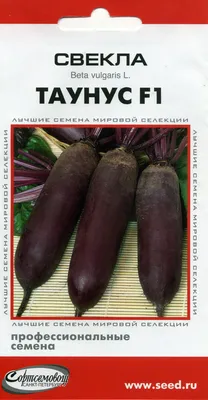 Расул - Чем полезна свекла? Овощ богат клетчаткой, фолиевой кислотой,  бором, марганцем, магнием, железом, калием, органическими кислотами  (яблочной, лимонной, винной, щавелевой). А витамины C и B6 снижают  вероятность появления распространенных ...