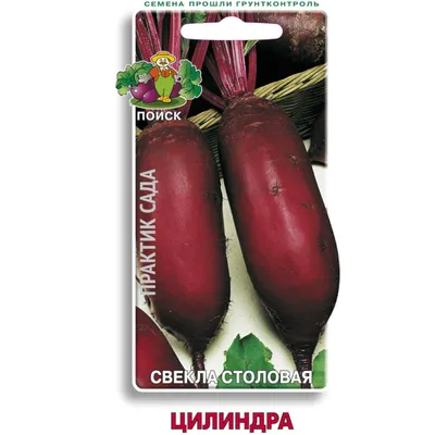 Свекла Бычья Кровь - Питомник Веселый Садовник