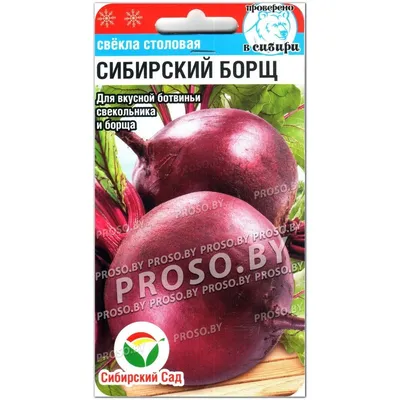 Овощи корня собрание, сельдерей, бурак, морковь, редиска, пастернак,  картошка, артишок Иерусалима, сладкий картофель Иллюстрация штока -  иллюстрации насчитывающей яркое, варить: 112582415