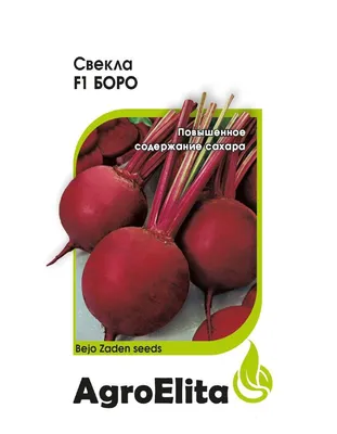 Свекла - овощ простых и строгих правил - Good Harvest | Семена | Удобрения  | Средства защиты растений