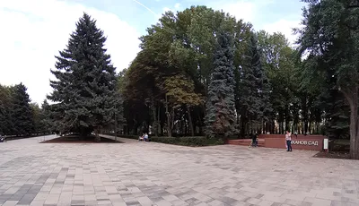 Быханов сад» в Липецке: новости, фото с открытия, официальный сайт и адрес  с маршрутами автобусов до парка