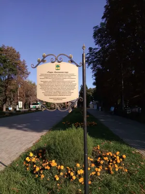 Парк \"Быханов сад\", Липецк - «Парк Быханов сад стал мне маленькой родиной)  И со временем всё меняется в лучшую сторону, если не считать наглость  частников...» | отзывы