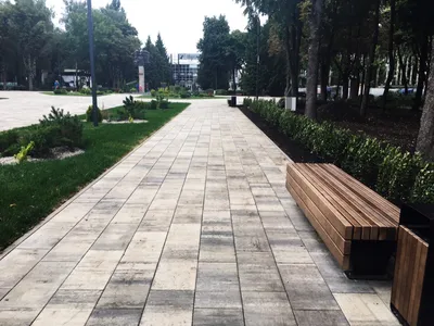 Быханов сад - Изображение Быханов сад, Липецк - Tripadvisor
