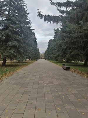 Быханов сад» открыли!