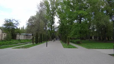В парке «Быханов сад» прошёл инклюзивный праздник от Централизованной  библиотечной системы Липецка «Маленькие дети на большой планете» 0+ — Жители