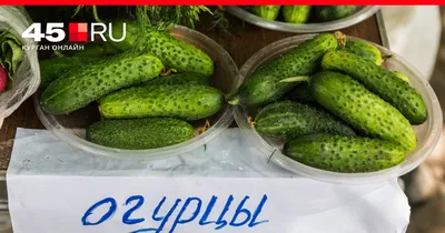 МАРТ: Беларусь не смогла полностью обеспечить рынок отечественными огурцами  - 26.12.2023, Sputnik Беларусь