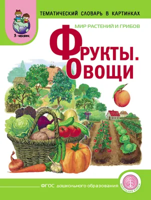 Книга Фрукты. Овощ и тематический Словарь В картинках: Мир Растений и  Грибов - отзывы покупателей на маркетплейсе Мегамаркет | Артикул:  600000282713