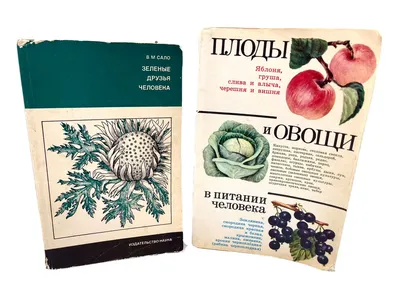 картинки : за работой, Пища, производить, Овощной, мешок, тело человека,  Рабочий, овощи, Орган, Мешок, труд, работа, Плоть 1936x1296 - - 892863 -  красивые картинки - PxHere