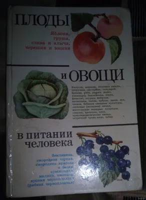 ОБНОВЛЯЕТ»: ВРАЧ НАЗВАЛА ОВОЩ, КОТОРЫЙ БЛАГОПРИЯТНО ВЛИЯЕТ НА ОРГАНИЗМ  ЧЕЛОВЕКА | Заря