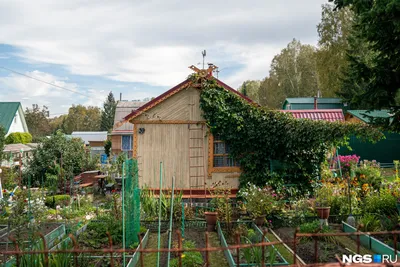 Современный огород: как преобразить свой участок с помощью высоких грядок