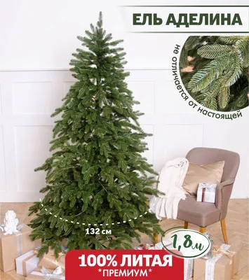 Купить большую датскую елку 5-5.5 м с доставкой.