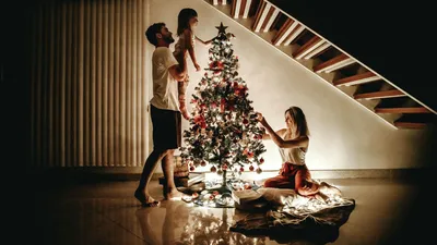 Вопросы читаталей: чем отличается ель от сосны, а сосна от пихты? | myDecor