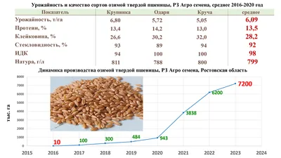 Новость: Сорта озимой пшеницы: интенсивно, адаптивно, перспективно! |  Щелково Агрохим