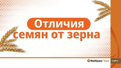 Как выбрать лучшие зерновые? - Бізнес новини Сєвєродонецька