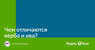 Красота весенней вербы на вербное воскресенье: фотоальбом многообразных  оттенков За кулисами звёзд на welcomevolunteer.ru