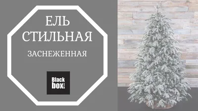 Рождественская елка с кристаллами Black Tree 1,8 м цена | 220.lv