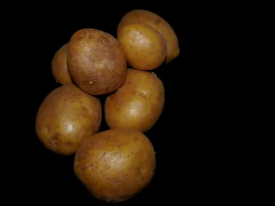Пирожное «Картошка» веган, 80 г с бесплатной доставкой на дом из «ВкусВилл»  | Йошкар-Ола