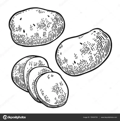 Купить Пир. Картошка темная