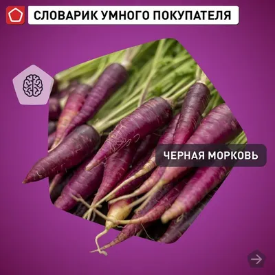 Тушеная чёрная морковь | Н Б | Дзен