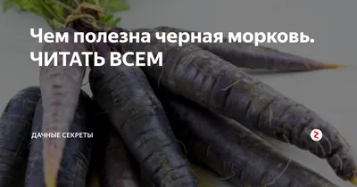 Сок чёрной моркови | Пикабу
