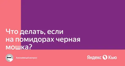 Минирующие мухи и пасленовый минер – опасные вредители в теп...