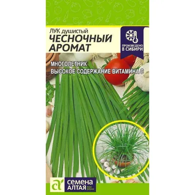 Хранение лука и чеснока: эффективные способы - полезные статьи о  садоводстве от Agro-Market24