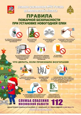 🎄Голубая ель ✔️180см ✔️210см ✔️240см ✔️300см 🔵Как заказать🤷🏻? 🟠Можете  написать нам в директ или оставить заявку по номеру 📞… | Instagram