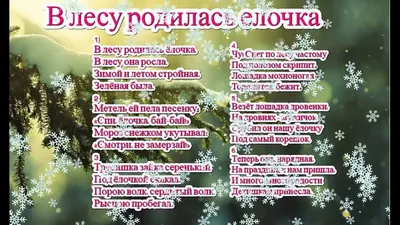 Наша елочка на ВДНХ. Приходите полюбоваться на пушистую красавицу из  Оренбуржья | 05.12.2023 | Новости Оренбурга - БезФормата