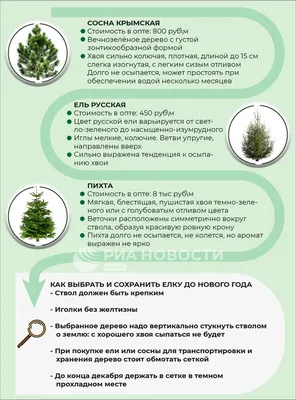 O Tannenbaum текст и перевод немецкой песни