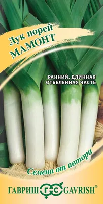 Лук Порей ❤️ доставка на дом от магазина Zakaz.ua