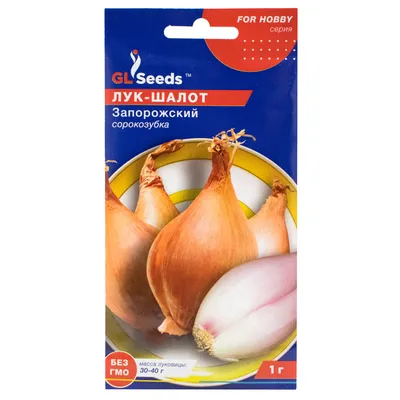 Лук-шалот Запорожский 1 г Gl Seeds (ID#518563109), цена: 20 ₴, купить на  Prom.ua