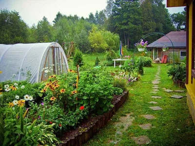 Простой ландшафтный дизайн на маленькой даче своими руками - 7Дней.ру