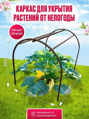 Дизайн грядок на даче | naidy-garden.ru