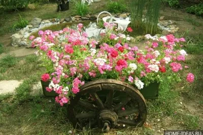 Поделки из гальки: чудесные дачные поделки для украшения сада. | Сад и  Огород | Дзен
